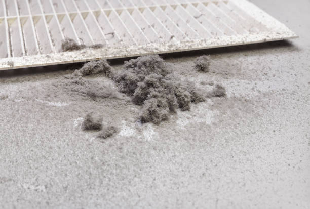Best Home Air Vent Cleaning  in Prospect Park, NJ