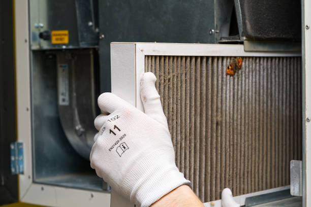 Best Air Duct Mold Removal  in Prospect Park, NJ